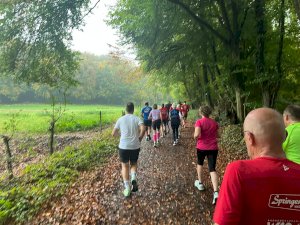 Teutoburger Waldlauf