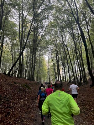 Teutoburger Waldlauf