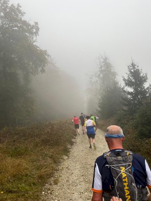 Teutoburger Waldlauf