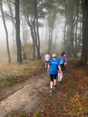 Teutoburger Waldlauf