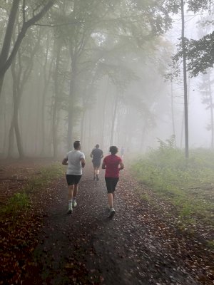 Teutoburger Waldlauf