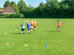Minikicker Schnuppertraining